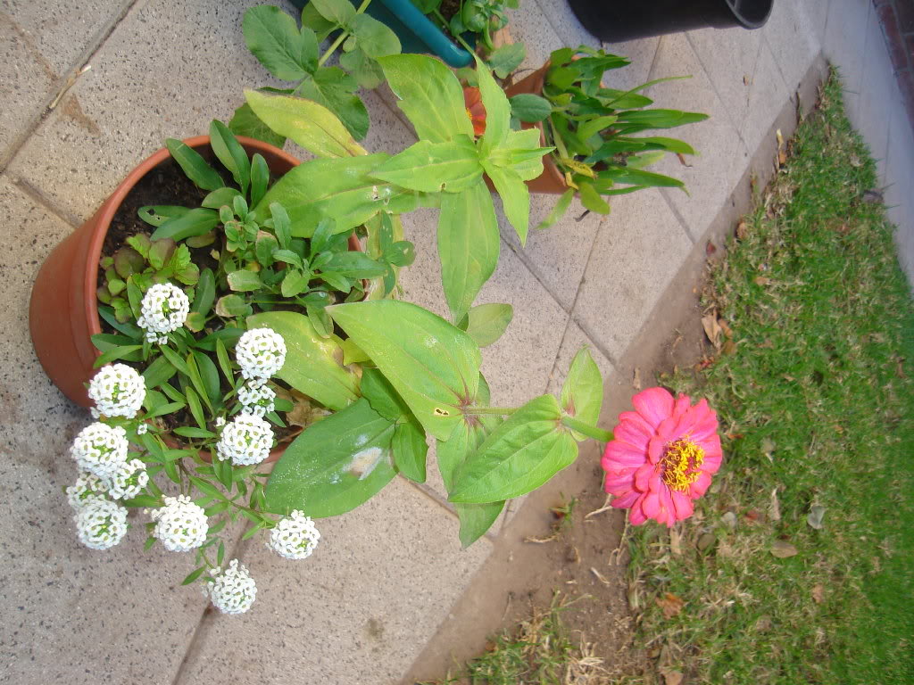 DSC01654.jpg
