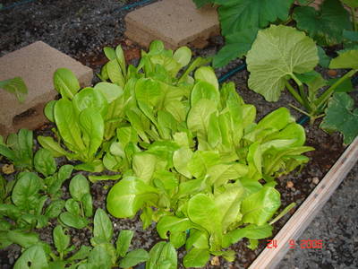 DSC01673.JPG