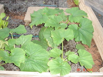 DSC01674.JPG