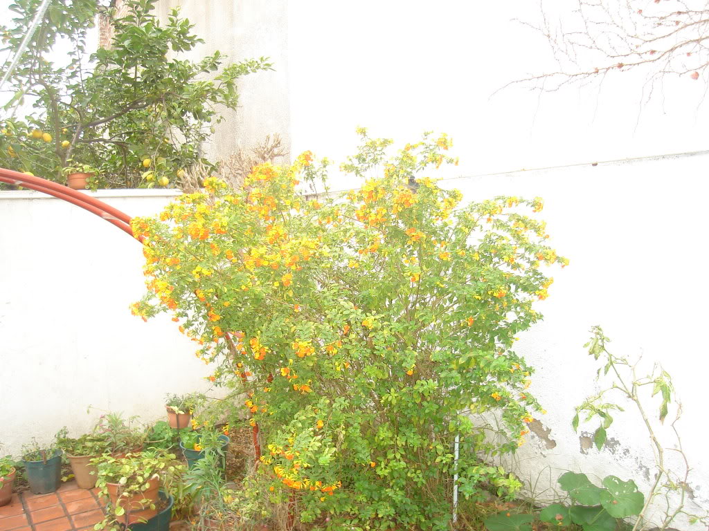 DSC01700.jpg