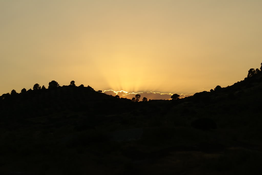 DSC01703.jpg
