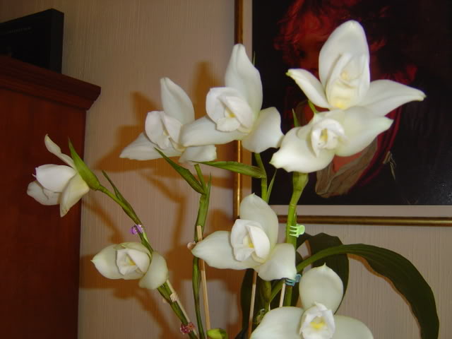 DSC01738.jpg