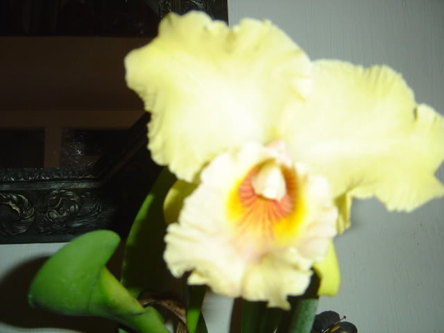 DSC01740.jpg