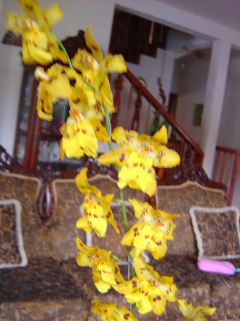 DSC01755-1.jpg