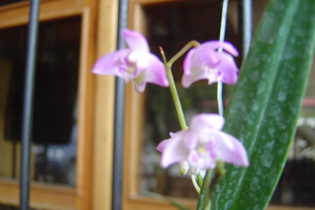 DSC01767.jpg