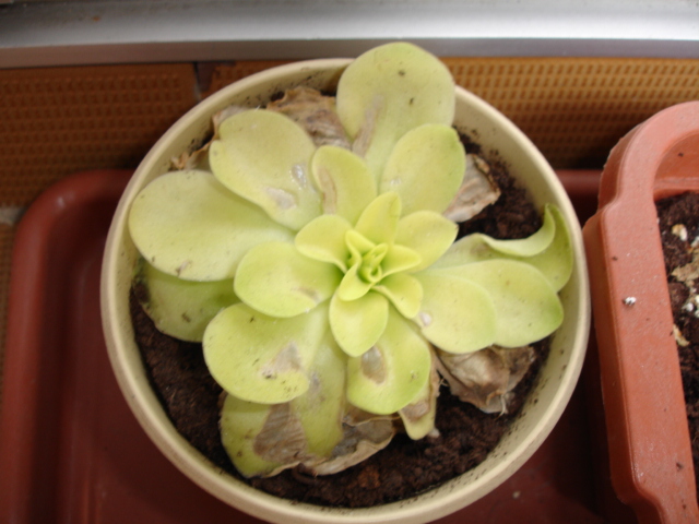 DSC01780.JPG