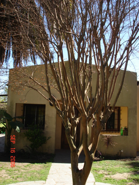 DSC01792.JPG