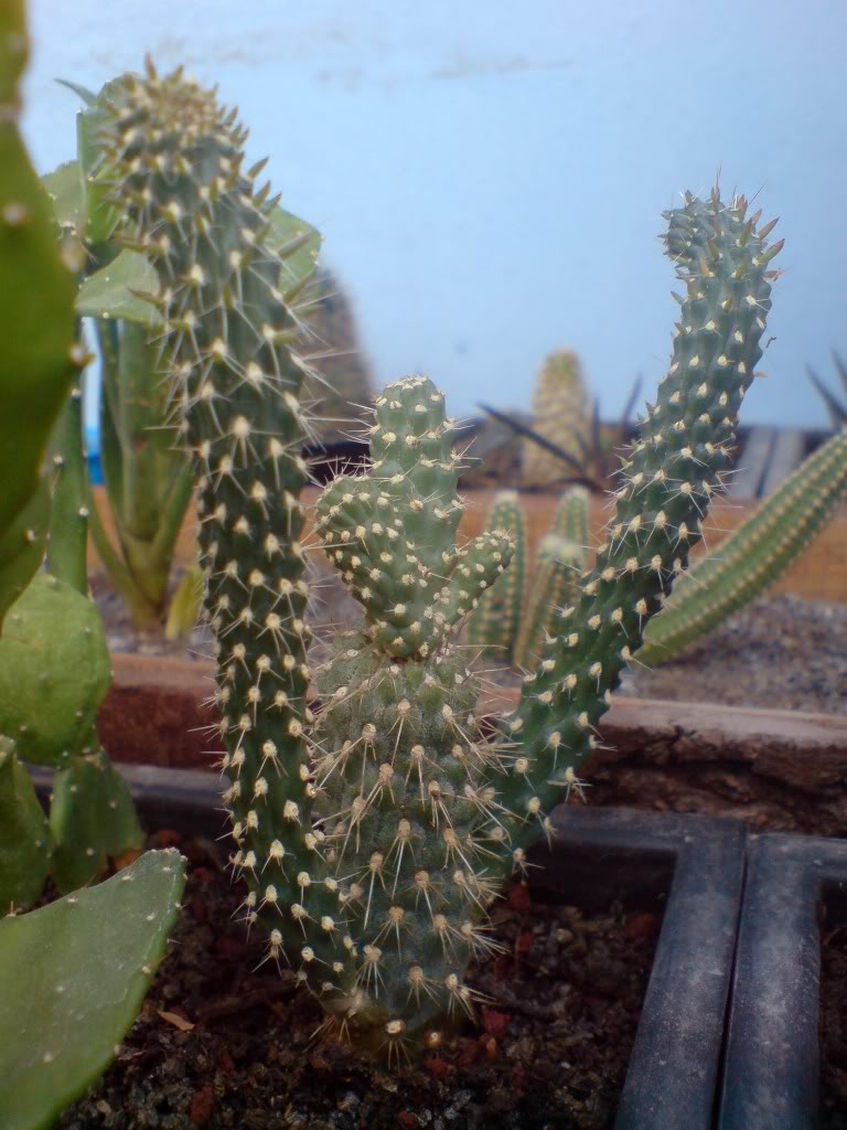 DSC01802.jpg