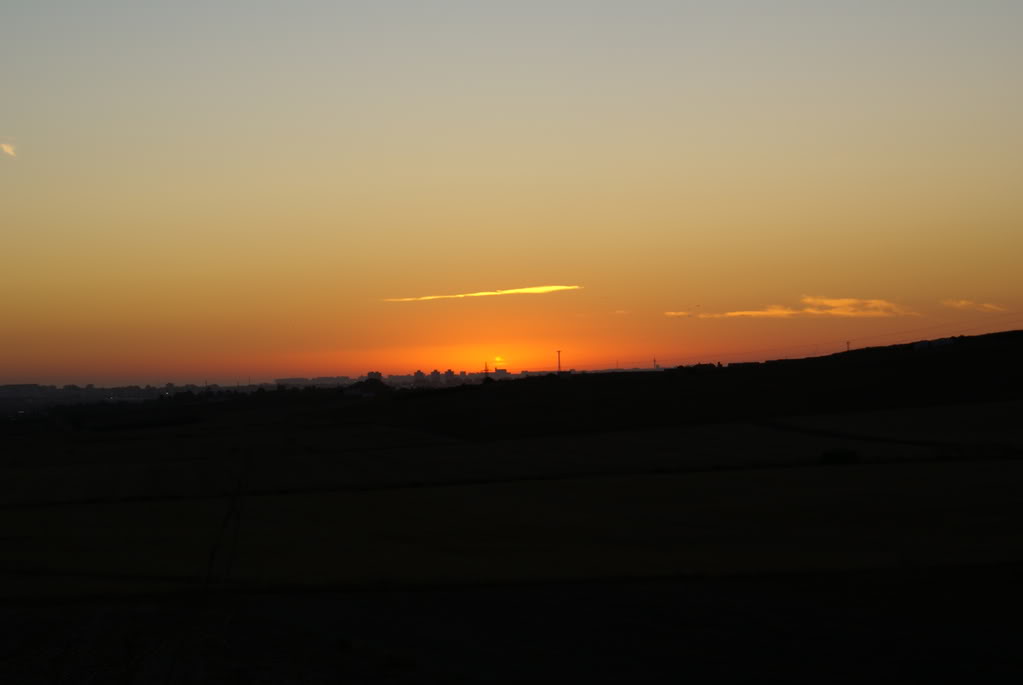 DSC01808.jpg