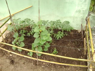 DSC01843.jpg