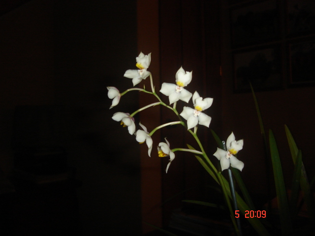 DSC01844.JPG