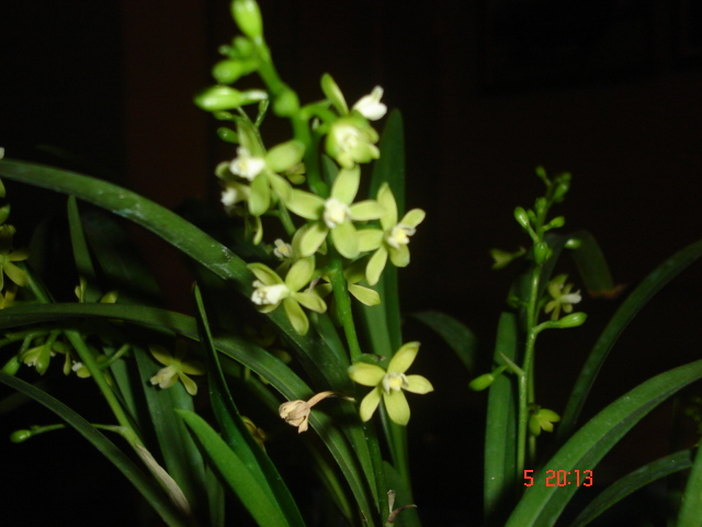 DSC01850.JPG
