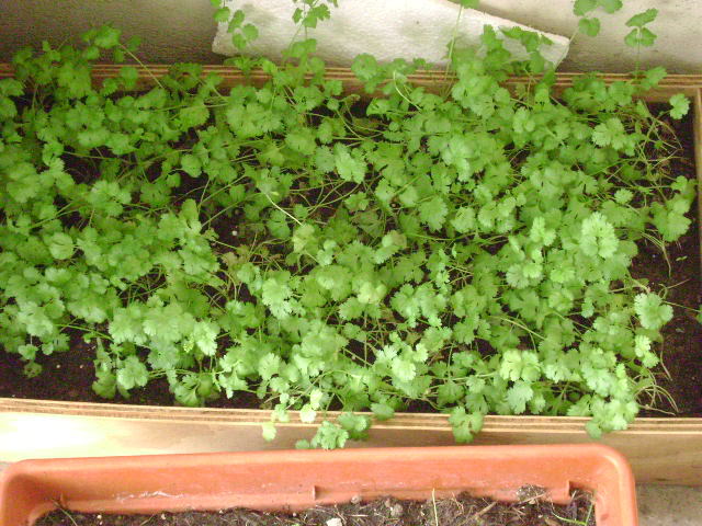 DSC01878.jpg