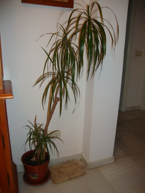 DSC01882.jpg