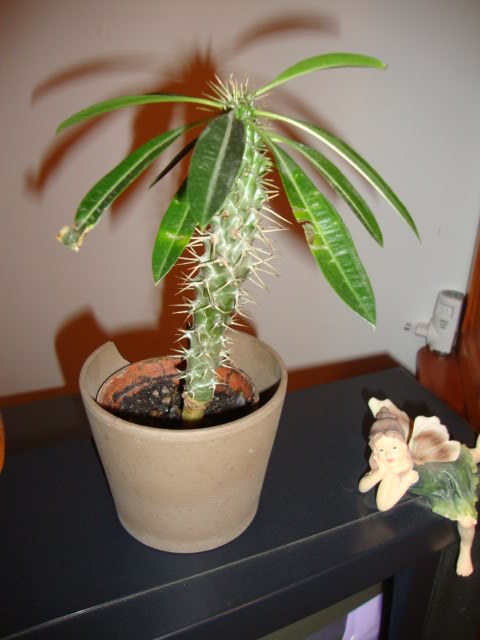 DSC01883.jpg