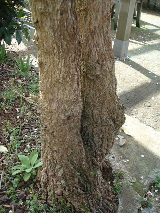 DSC01891-1.jpg