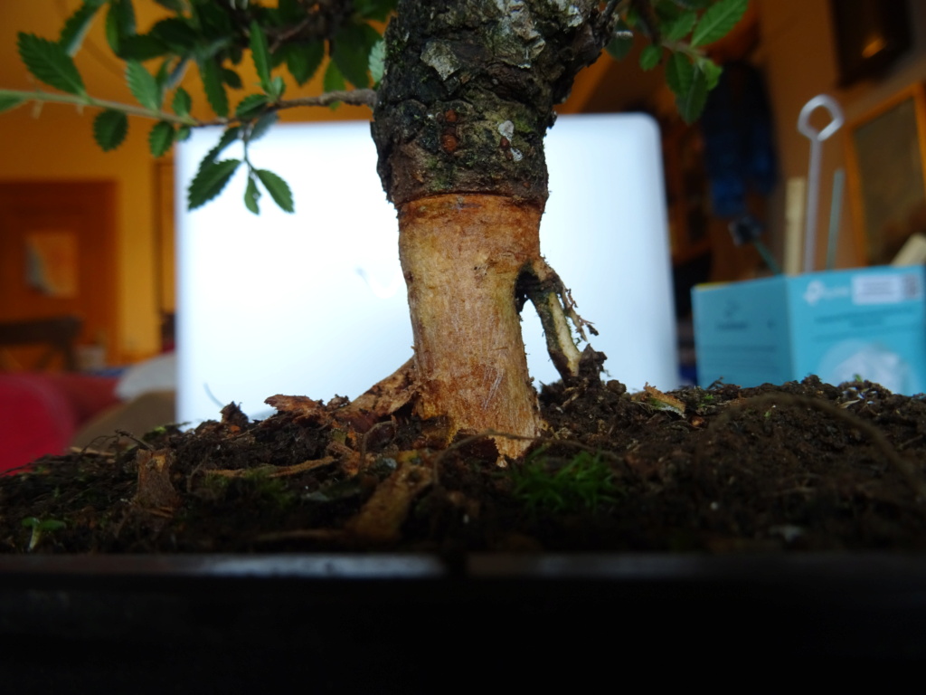 dsc01911.jpg
