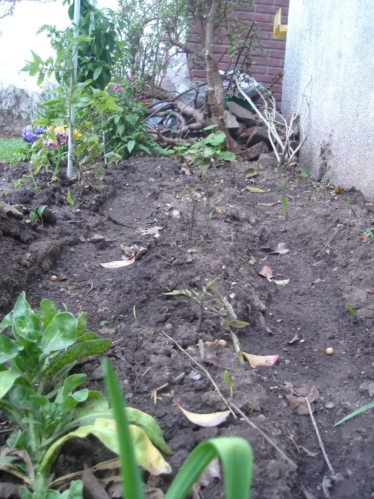 DSC01920.jpg