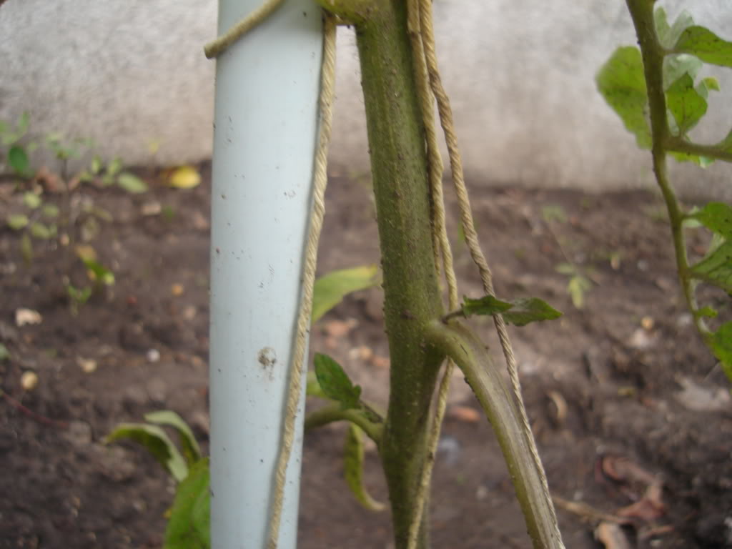 DSC01922.jpg