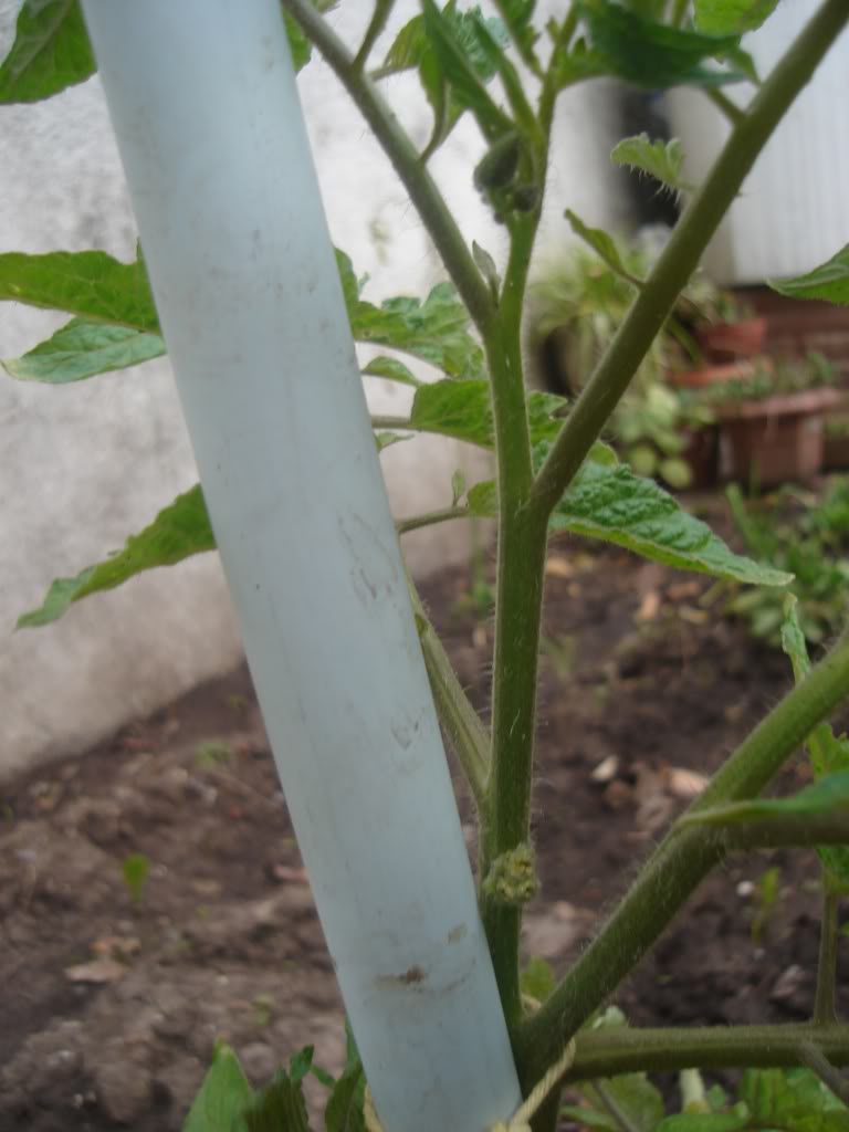 DSC01924.jpg
