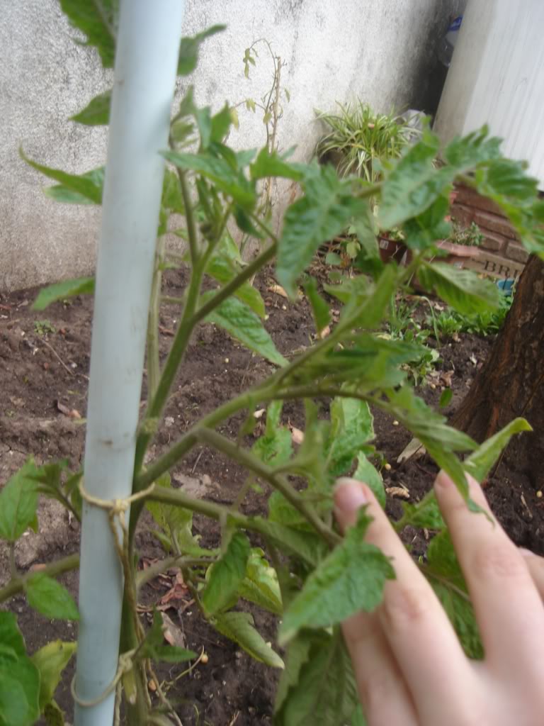 DSC01925.jpg