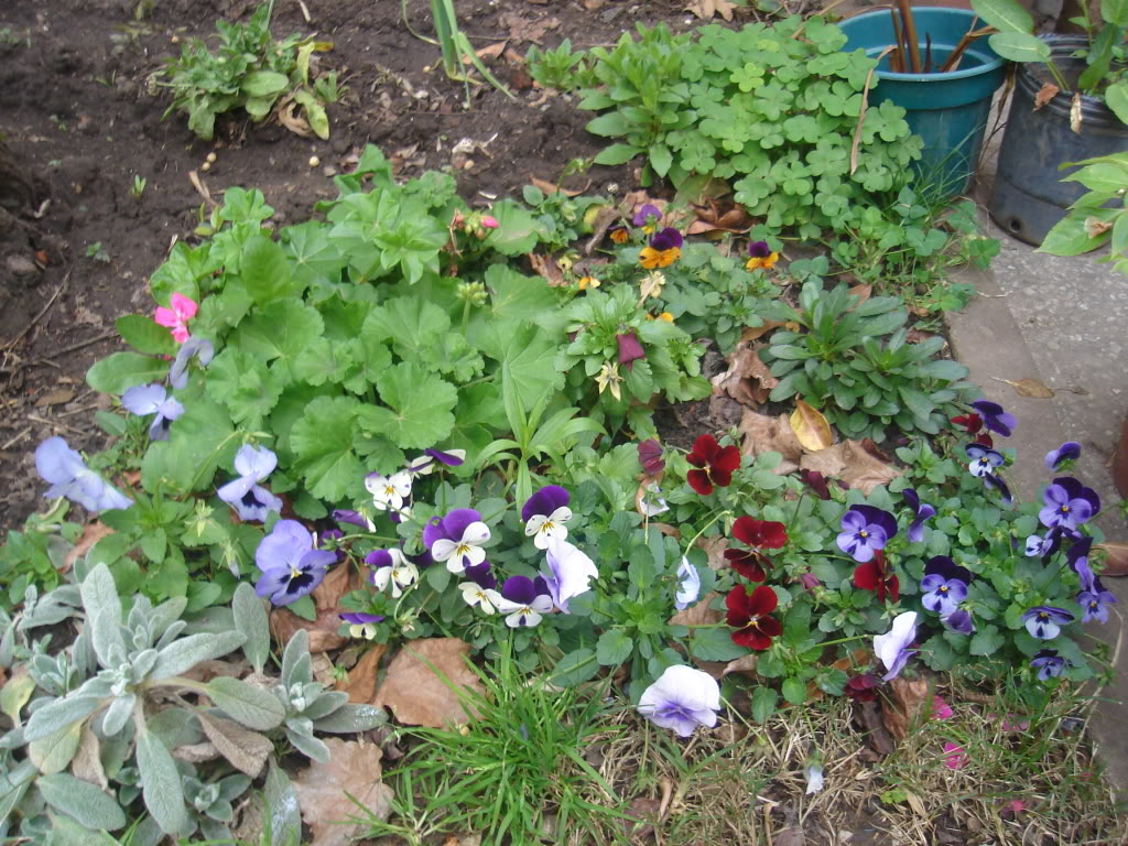 DSC01940.jpg
