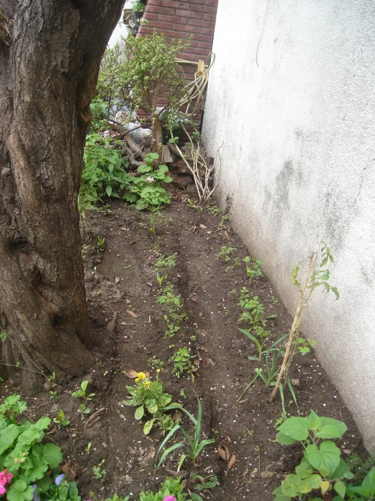 DSC01968.jpg