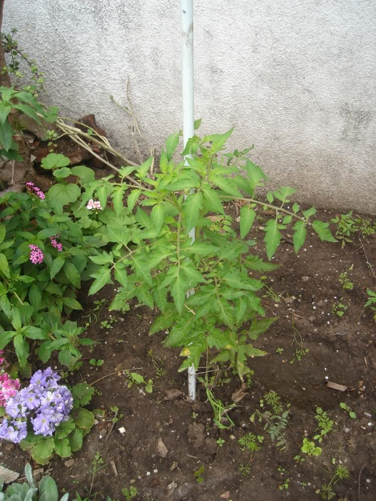 DSC01969.jpg