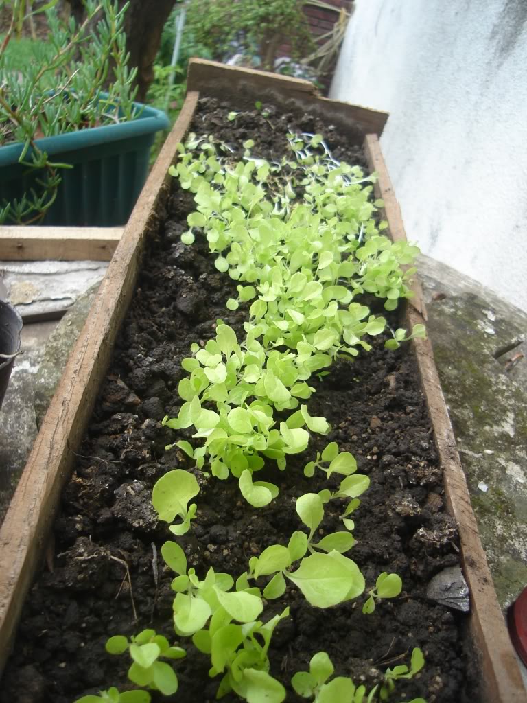 DSC01976.jpg