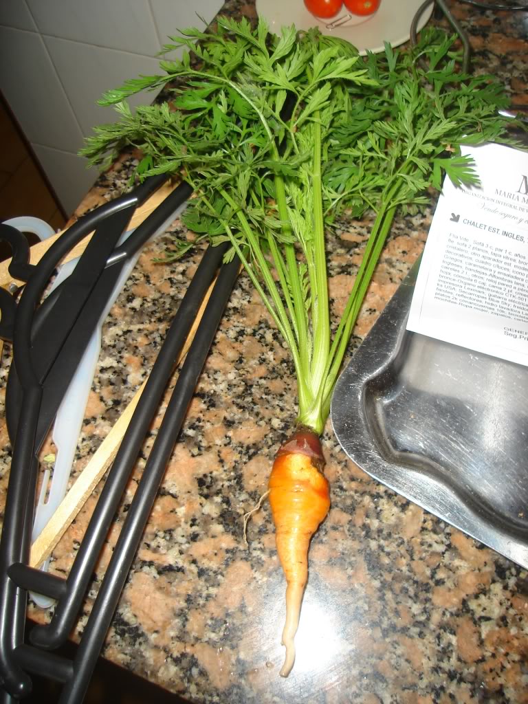 DSC01985.jpg