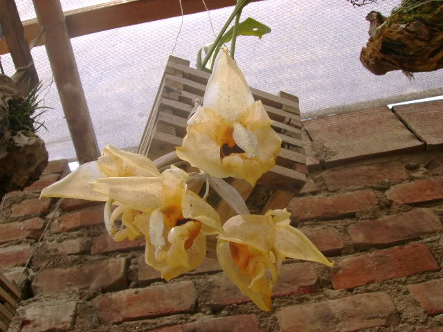 DSC02003.jpg