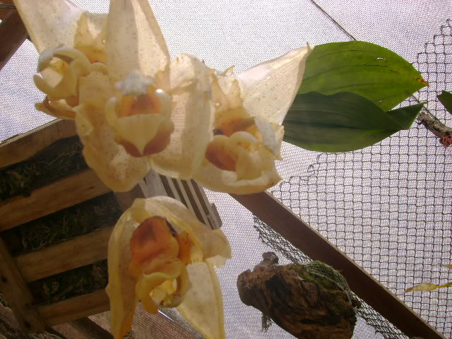 DSC02004.jpg