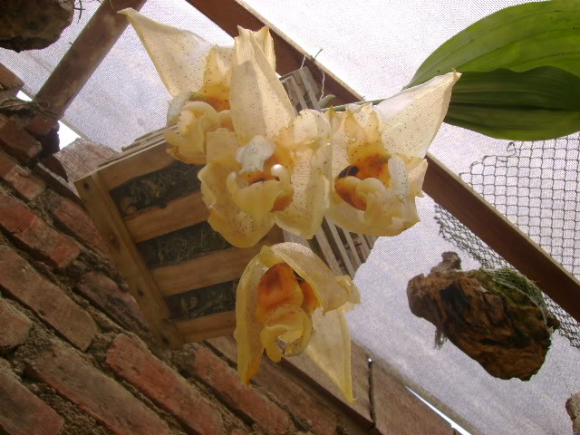 DSC02005.jpg
