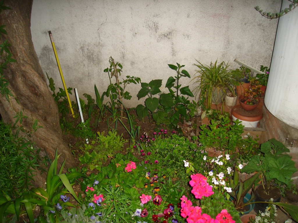 DSC02006.jpg