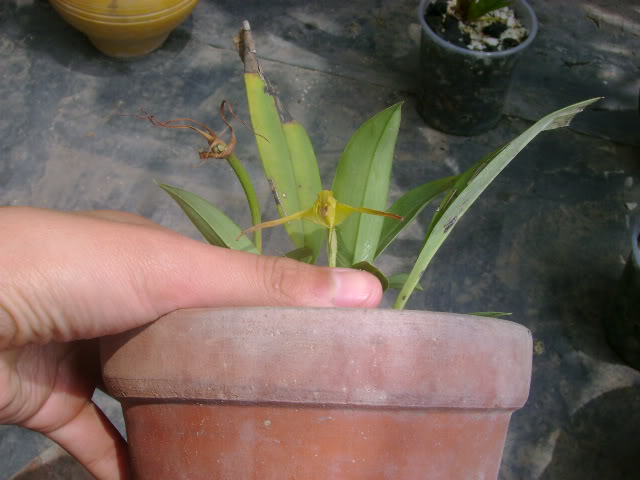 DSC02008.jpg
