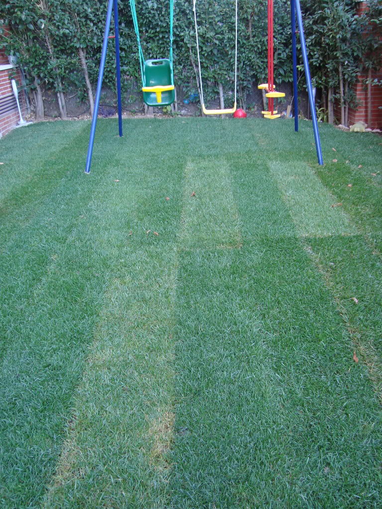 DSC02023.jpg