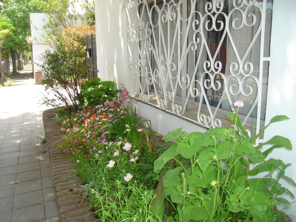 DSC02024.jpg