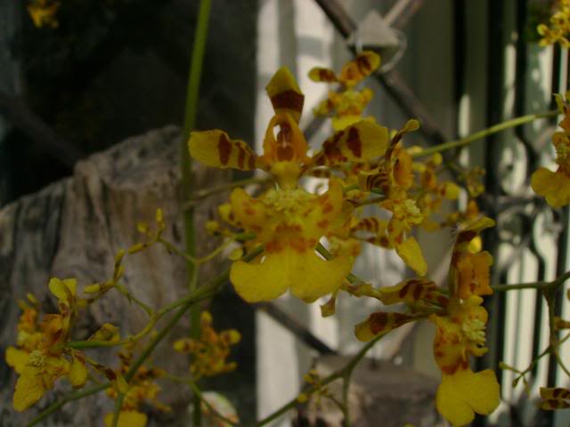 DSC02025.jpg