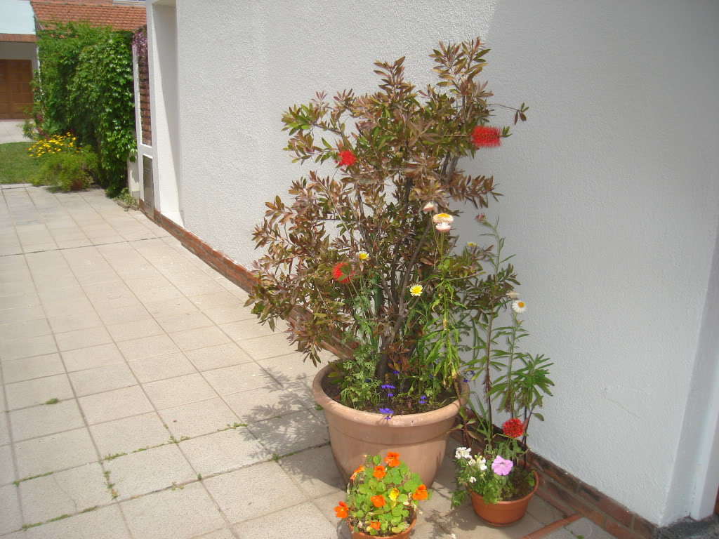 DSC02026.jpg