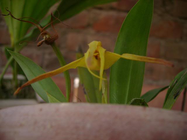 DSC02028.jpg