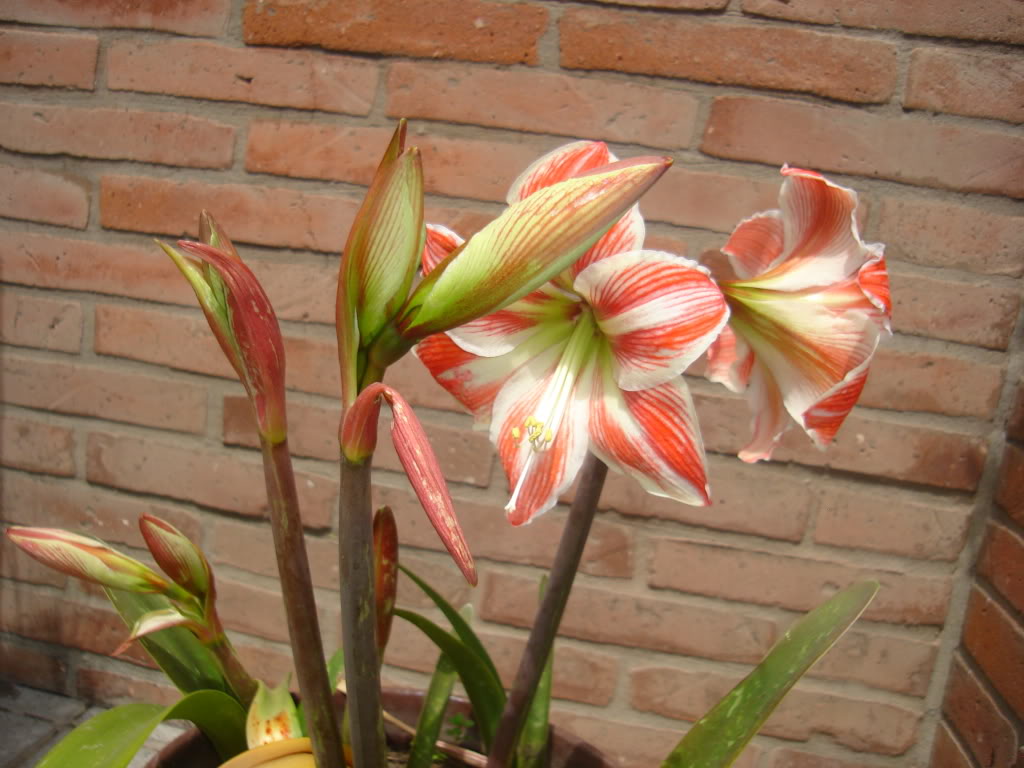 DSC02028.jpg