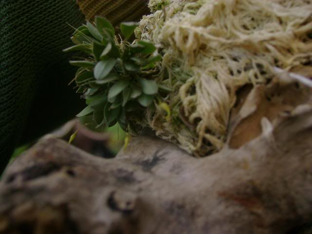 DSC02033.jpg
