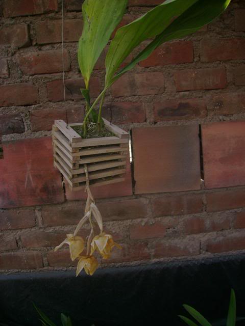DSC02035.jpg