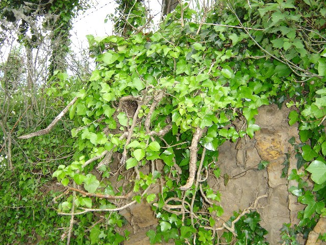DSC02039.jpg