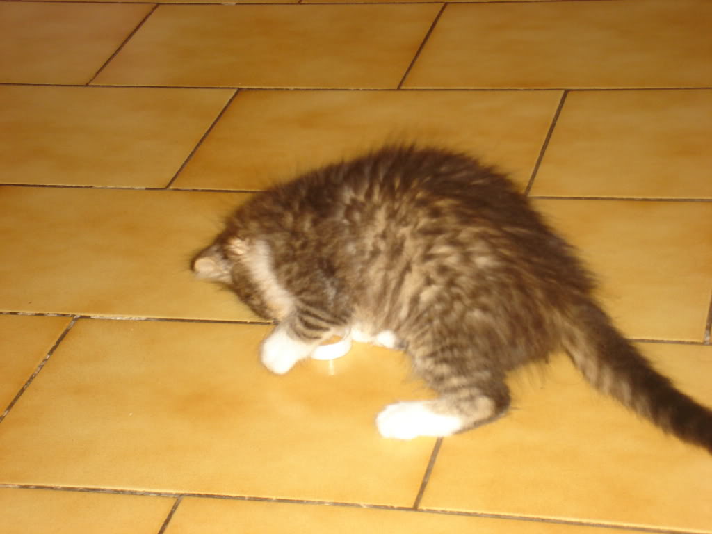 DSC02042.jpg