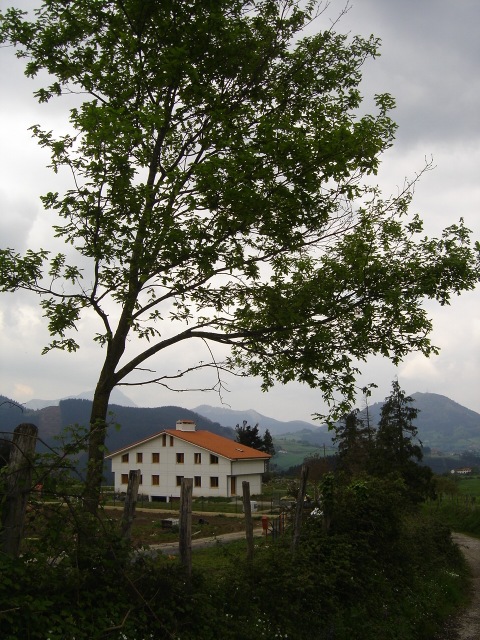DSC02043.jpg