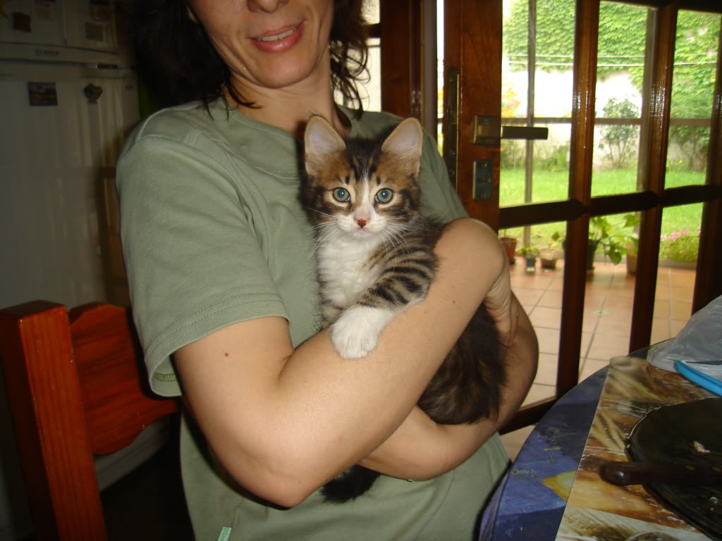 DSC02044.jpg