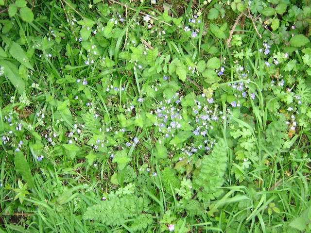 DSC02045.jpg