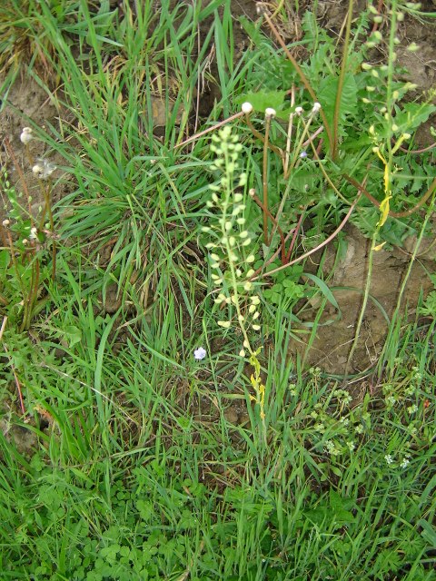 DSC02052.jpg