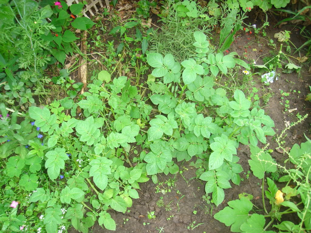 DSC02064.jpg